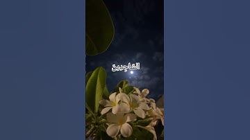 وتوكل على العزيز الرحيم الذي يراك حين تقوم  تلاوة بصوت القارى بدر التركي سورة الشعراء { ٢١٧ - ٢٢٠ }