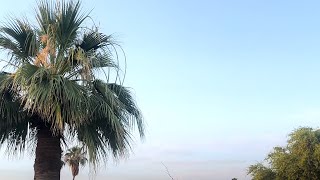 A Summer Day In My Life