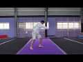 Fei Long kick