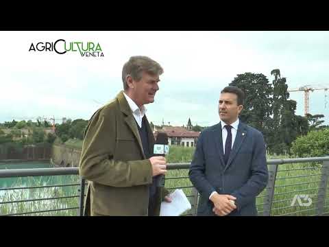 AGRICULTURA VENETA  | 21/05/2023