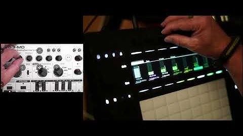 calamansi (Behringer TD-3-MO into Ableton Push 3 Standalone)
