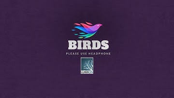 Birds | Lumion 11 | Lumion Cinematic Animation | 4K