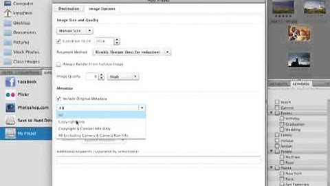 96 The New Bridge Export Panel