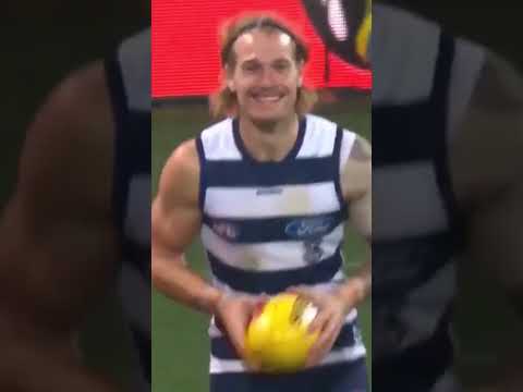 Danger & Stewy Highlights #afl #geelongcats