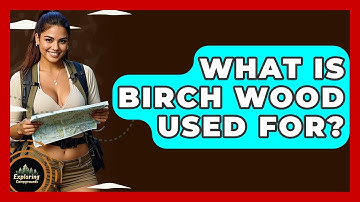 What Is Birch Wood Used For? - Exploring Campgrounds