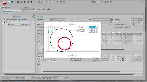 How to manager revisions in MONITOR ERP System