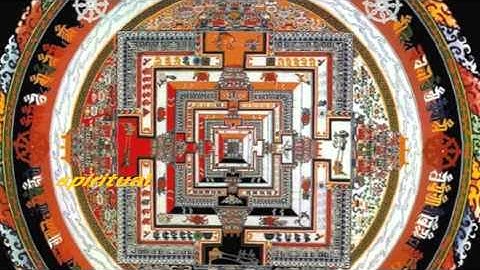 Web Expression Video