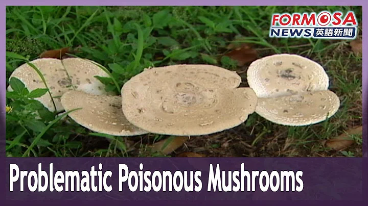 Family of six accidentally get food poisoning from poisonous mushrooms - DayDayNews