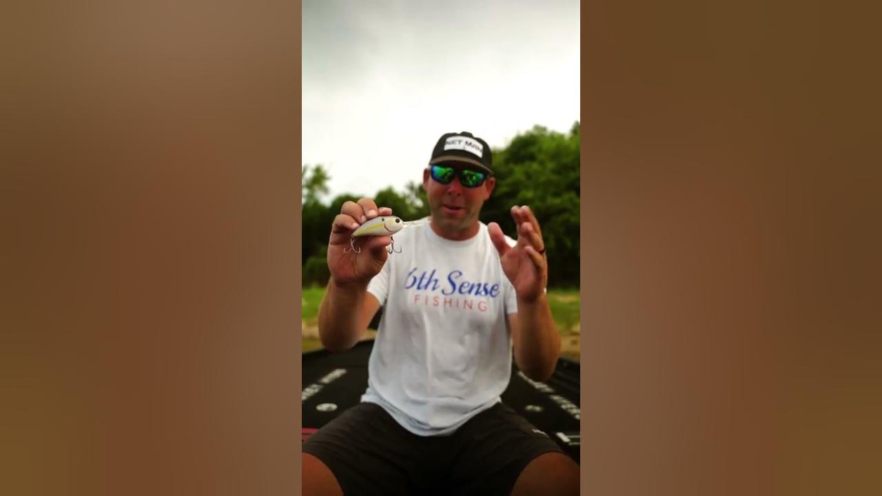 Bassmaster Elite Series Pro Lee Livesay's FAVORITE Crankbait is