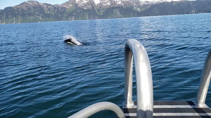Seward, Ak. June 2, 2019