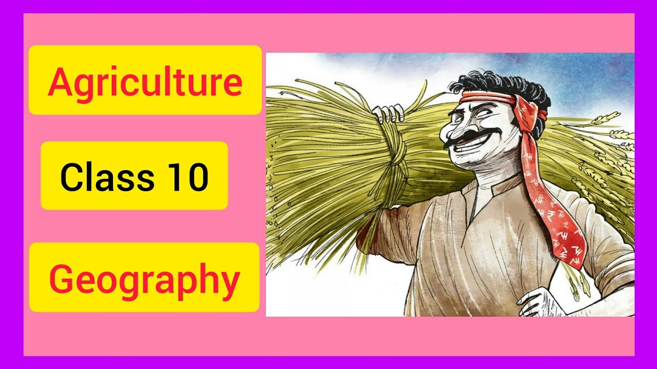 agriculture class 10 cbse geography Agriculture Part1 of 2 Class 10