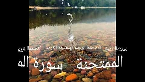 060 سورة الممتحنة برواية ورش عن نافع