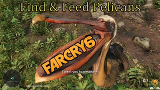 Far Cry 6 💠 How To Find And Feed Pelicans