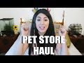 PET STORE HAUL | MYSTERY ANIMAL | GECKO NAME REVEAL