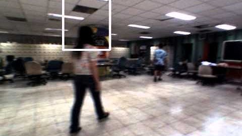 VTD2_partial_occlu2.avi