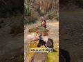 Incroyable   leurre pche pecheauleurre carpfishing fish fishing fishingfyp viral