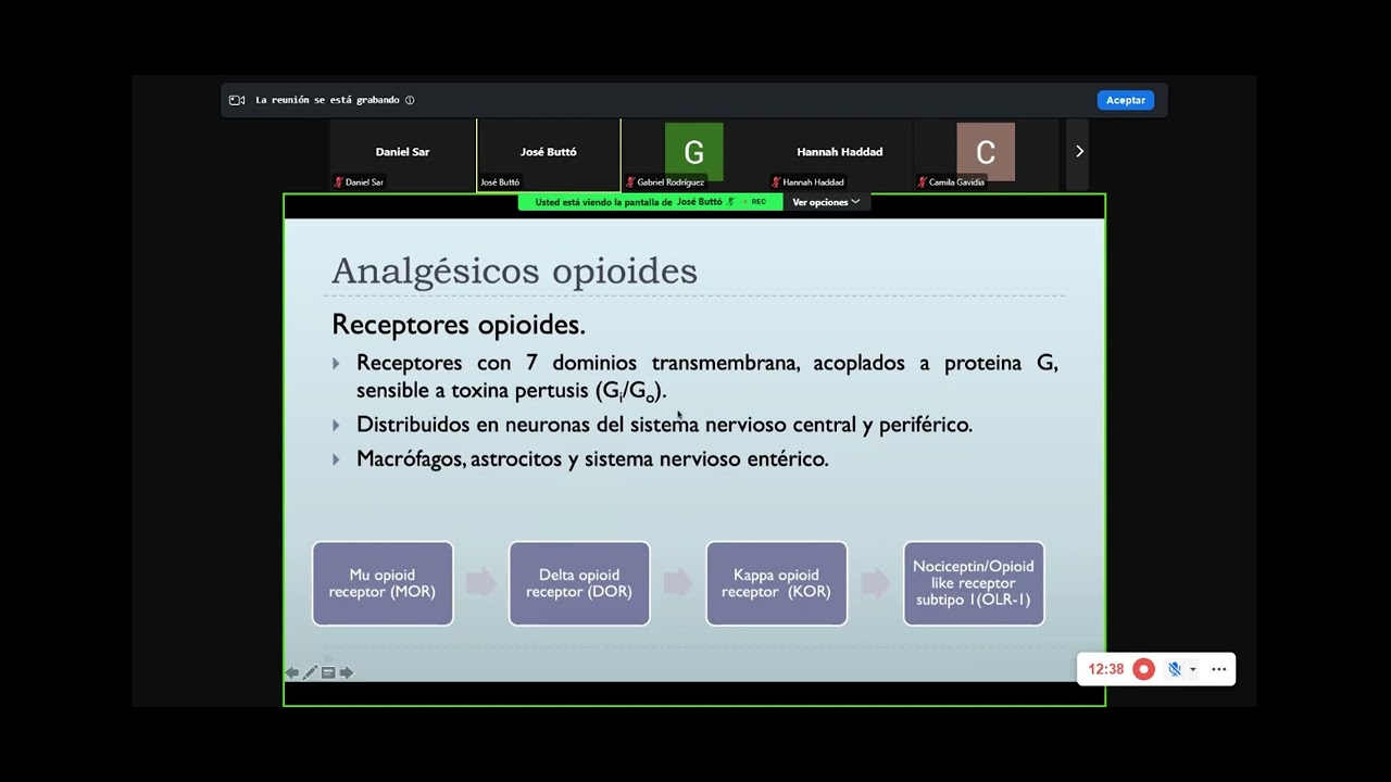 Analgésicos Opioides   Dr  José Buttó