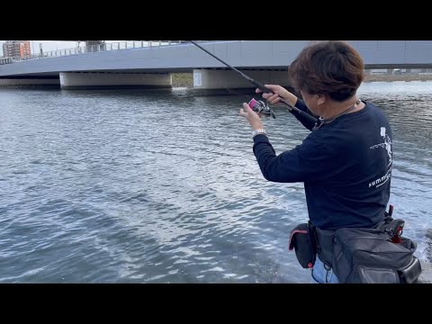 Finally 22 Stella is here!! - YouTube