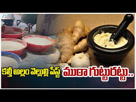 Adulterated Ginger-Garlic Paste Scandal in Hyderabad | Zee Telugu News - ZEE24TELUGUNEWS