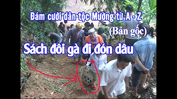 Phong tục Đám cưới dân tộc Mường từ A đến Z (Bản gốc)