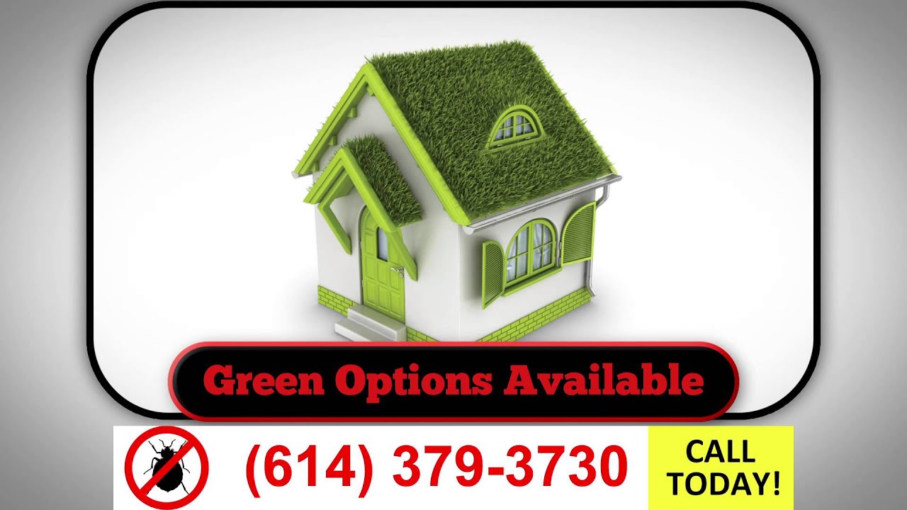 24 Hour Emergency Pest Control Columbus Ohio (614) 3793730 YouTube