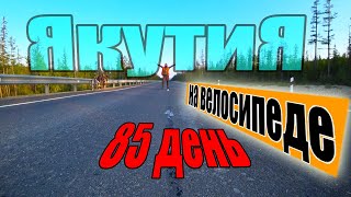 №85. 🐻💥Трасса а360 Лена.🚵‍♀️ На велосипеде по Якутии с палаткой. Якутия летом. Река Амга Якутия