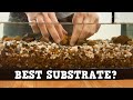 What's THE BEST Aquarium Substrate? Substrate Basics (KFKFK)