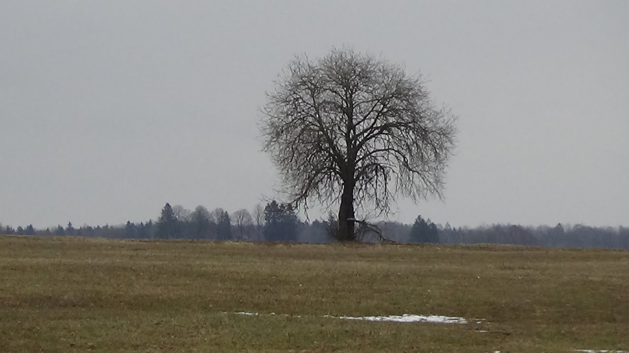 Šeit iepriekš atrasta apslēptā manta/We are looking where treasures have been found before RUS. sub.