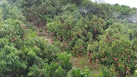 Chuyên Thiết Kế Và Lắp Đặt Hệ Thống Nước Béc Tưới Tự Động