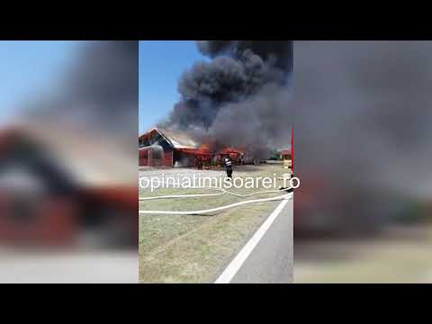 Incendiu violent la un restaurant in apropiere de Timisoara