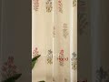 Festive Curtains Drop | Ziya | Handcrafted