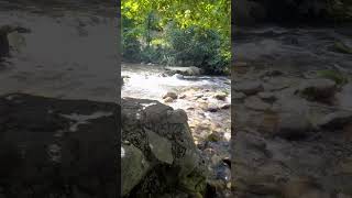 Así es Campo de Caso: el encanto rural de Asturias 🌿🏡