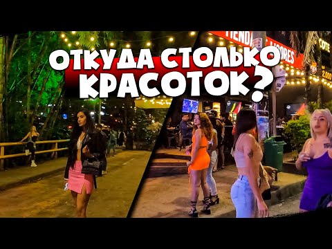 Видео: Кога започна картелът на Меделин?