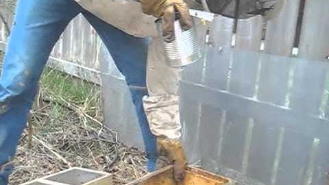 Honey Bee Package Installation