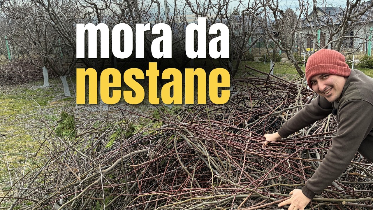 Zašto granje mora da nestane pre vegetacije
