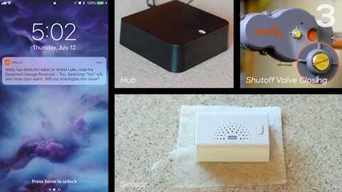 Sensor - Leak test with shutoff Valve