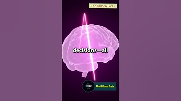 "Your Heart Has Its Own Brain ❤️🧠" #facts