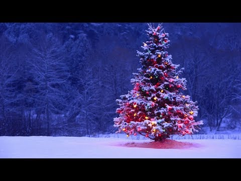 MERRY CHRISTMAS!! The Best Christmas Songs For The Family & Kids!!! Christmas Songs!!