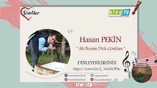 Hasan PEKİN \