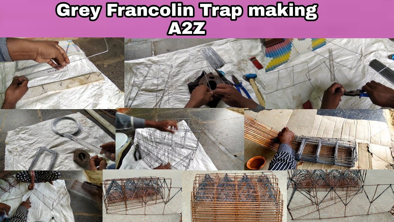 Grey Francolin Trap making A2Z full video  Best trap making video