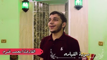 تلاوة رائعة سورة القيامة | هدوء وراحة نفسية ثلاث دقائق