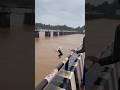 Shimoga Live Jump From Tunga Bridge Shivamogga Shivamogga