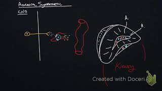 Ch  15 Notes Video Part 2