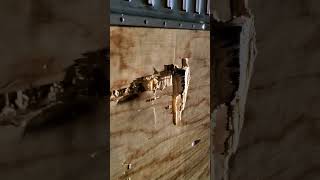 Be careful with wooden walls