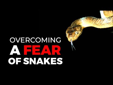 Video: How To Stop Being Afraid Of Snakes