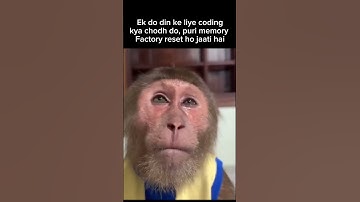 #codingmeme #meme