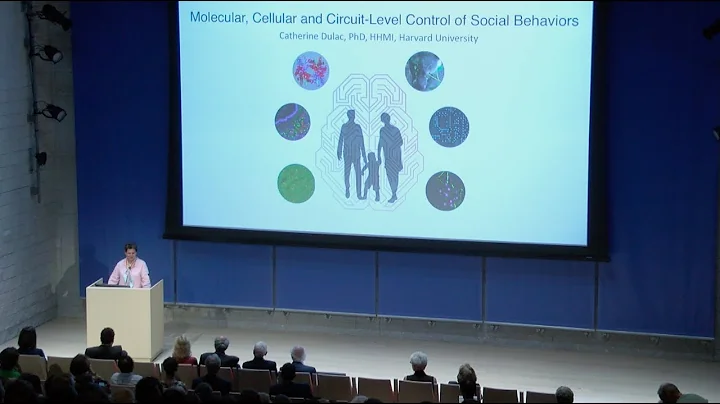 Mind Brain Behavior Symposium Keynote: Catherine Dulac