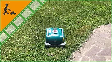 Ambrogio L60 Elite Robot Lawn Mower - Customer