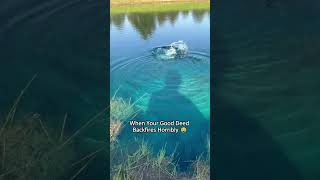 Tiny Legs, Huge Dramacant Stop Watching