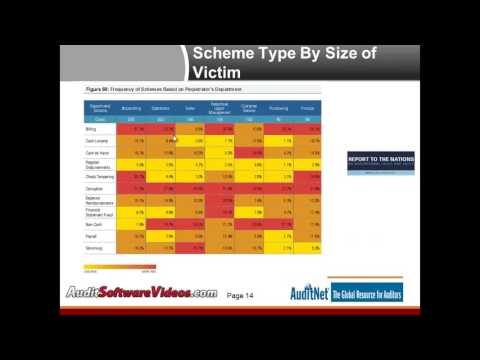 Revenue Auditing
